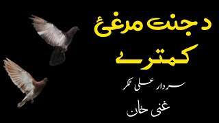 Da Janat Marghay Kamtari  Sardar Ali Takkar Ghazal  Ghani Poetry  سردار علی ٹکر [upl. by Karyn856]