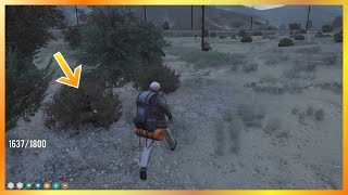 No Way Cops Are Hiding In These Bushes  NoPixel 40 GTA RP [upl. by Aihsek]