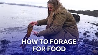 Foraging For Food In Scotland  BBC The Social [upl. by Ardle395]