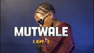 Mutuale by KwizD Official Visualizer myseason [upl. by Cirted]