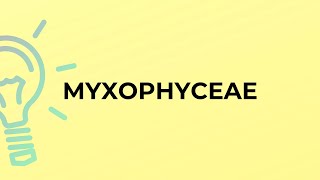 What is the meaning of the word MYXOPHYCEAE [upl. by Annahs319]