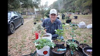 7 tips for beginning gardeners wanting to grow food in containers [upl. by Enileme]