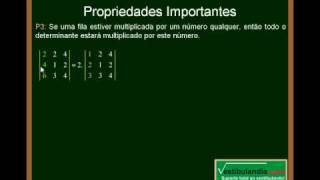 Matemática  Aula 20  Determinantes  Parte 8 [upl. by Relluf]