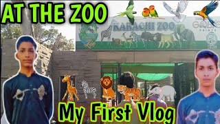 Finally Aaj Ham Zoo🦁 Chale Hi Gaye 😅 Picnic On Karachi Zoo 🦁Zoo Tour jhaworld [upl. by Onitsuj117]