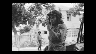 Bob Marley  Rastaman Vibration instrumental [upl. by Claude]