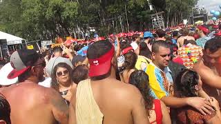 DJ ALOK  CARNAVAL 2024  IBIRAPUERA  SÃO PAULO [upl. by Crandall439]