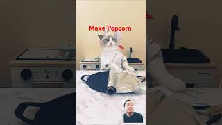 New Popcorn ASMR funnycats littlepuff cat [upl. by Elyr]