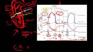 Cardiac Cycle [upl. by Ivory]