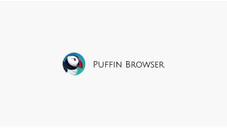 puffin vs builtinbrowser [upl. by Sparky]