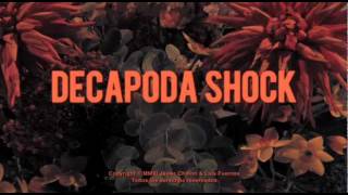 Decapoda Shock Teaser 2 [upl. by Reitman]