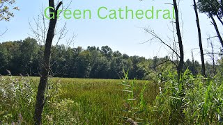 quotGreen Cathedralquot  Piano version  original song by Adam Brooks [upl. by Tolliver]