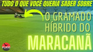 MARACANÃ PRONTO 2022  GRAMA HÍBRIDA  O QUE É E COMO É FEITA [upl. by Ogaitnas]