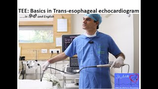 TEE Basics of transesophageal echocardiogram [upl. by Faden]