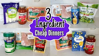 Quick amp Easy 3INGREDIENT Dinners You Can Make TONIGHT  Tasty Cheaper Meal Ideas  Julia Pacheco [upl. by Sigismond]