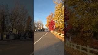 Fall in Chester California roadtrip smalltownusa explore nostalgia autumn foliage november [upl. by Alohs]