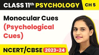 Monocular Cues Psychological Cues  Class 11 Psychology Chapter 5 [upl. by Harrad]