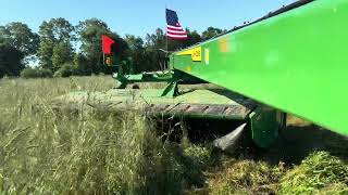 Mowing Triticaletractor farming johndeeretractor johndeere agriculture hay tractor farmlife [upl. by Selinda]