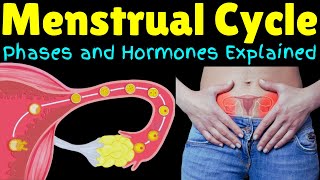 The Menstrual Cycle – Phases and Hormones Explained  Menstruation Explained [upl. by Belmonte680]