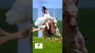 MAD MAx riders horse equestrian sports rider horsebackrider femalehorserider ঘোড়া [upl. by Pierrepont]