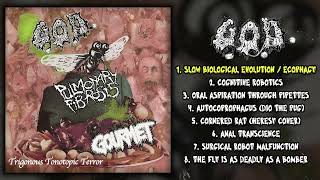 G​​O​​D  Gourmet  Pulmonary Fibrosis  Trigonous Tonotopic Terror FULL ALBUM 2022  Goregrind [upl. by Airotahs]