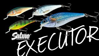 SALMO EXECUTOR [upl. by Brunk]