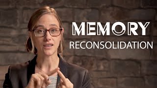 Memory Reconsolidation How to Rewire Our Brain  Chapter 4 [upl. by Jazmin]