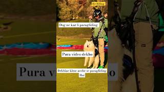 Dog ne paragliding kilove trending funny shorts video jokes comedy gaming youtube ytshorts [upl. by Nicole129]