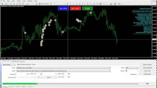 Trailing Pending Stop Order EA MT4 [upl. by Liemaj]