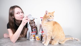 Hills Science Diet Cat Food Review We Tested It [upl. by Euv]