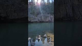 Beautiful River in New Mexico 👀 shorts fishing newmexico trout river nature wildlife fish [upl. by Taft]