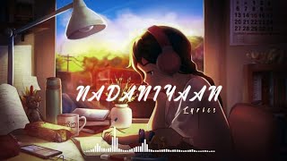 Nadaniyaan Lyrics Song [upl. by Waters]