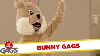 Easter Bunny Pranks  Best of Just For Laughs Gags [upl. by Annaj]