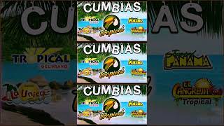 CUMBIAS TROPICALES PARA BAILAR🌻TROPICAL FLORIDAEL NEGROACAPULCO TROPICAL💃CUMBIAS TROPICAL MIX [upl. by Hteb]