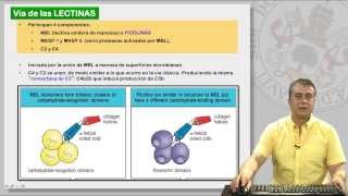 112 EL SISTEMA DE COMPLEMENTO Y SUS RECEPTORES [upl. by Heddi]