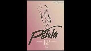 Petula ClarkCut Copy Me with Lyrics [upl. by Aynekat]