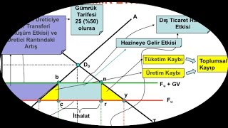 İTHALATA KONULAN GÜMRÜK TARİFELERİNİN MİKRO EKONOMİK ETKİLERİ [upl. by Glenn]