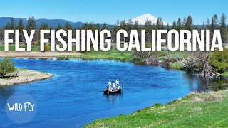 Fishing Californias Largest Spring Creek for Prehistoric Rainbow Trout [upl. by Deering]