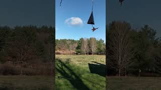 Wind chime in NH [upl. by Oj]