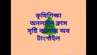 ধান চাষের গতানুগতিক পদ্ধতি ও এসআরআই পদ্ধতির মধ্যে পার্থক্য [upl. by Menken]