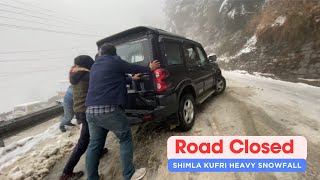 Shimla kufri snowfall today  shimla weather today  shimla vlog  kufri snow activity shimla today [upl. by Googins]