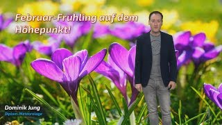 FebruarFrühling auf dem Höhepunkt Knacken wir heute den Wärmerekord Mod Dominik Jung [upl. by Enelhtak785]