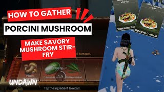 How to gather porcini mushroom and make savory mushroom stirfry adventure guide  UNDAWN  GUIDE [upl. by Iaw614]