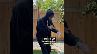 If Eminem Got Stung By A Bee [upl. by Ybhsa]