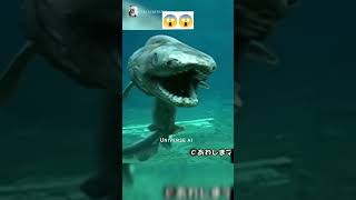 Extinct animals caught on Camera animals fish [upl. by Leonora556]