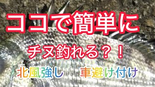 沖縄 フカセ釣り 南部チヌポイント！簡単に釣れました。たまたまなのか？！カーエーも釣れるポイント沖縄チヌフカセ釣り 糸満市 カーエー [upl. by Killy748]