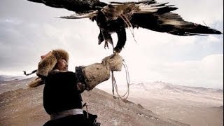 CACCIANDO  Caccia in Mongolia Eagles vs Wolves amazing hunt [upl. by Noemys]