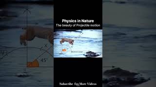 Physics  Projectile Motion  Class 11th physics physicswallah adda247 unacademy [upl. by Magee]