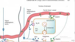 Drugs Used in Gastrointestinal Disorders  Katzung  Online Session UrduHindi [upl. by Nomaj]