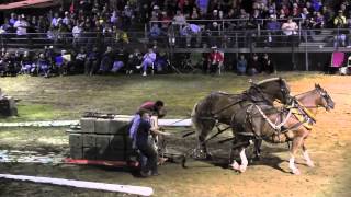 Draft Horse Pull 2013 Deerfield Fair NH Pulling Video 40 [upl. by Assirolc]