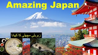 Japan Interesting Information Japan Kay Baray may Ajeeb Malumat UrduHindi [upl. by Panayiotis]